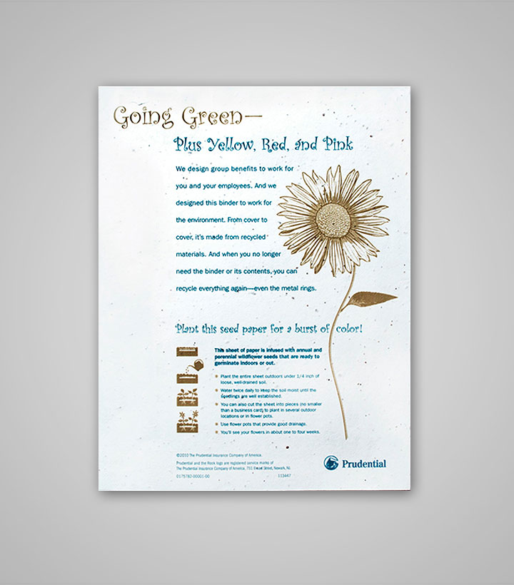 Seed Paper Flyer - 8.5x11